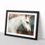 White Horse Portrait - Picture Frame Painting Print-56739168-56739169