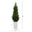 56 po Cèdre artificiel résistant aux rayons UV dans un pot à fleurs blanc (intérieur / extérieur)-2135918909