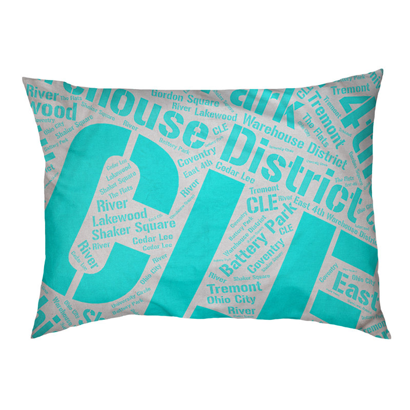 Coussin de chien « districts », Cleveland, Grand (l 40 po x P 30 po x H 14 po), Cyan