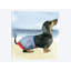 «Hot Dog IV», impression sur toile-28019924-72567297-72567298