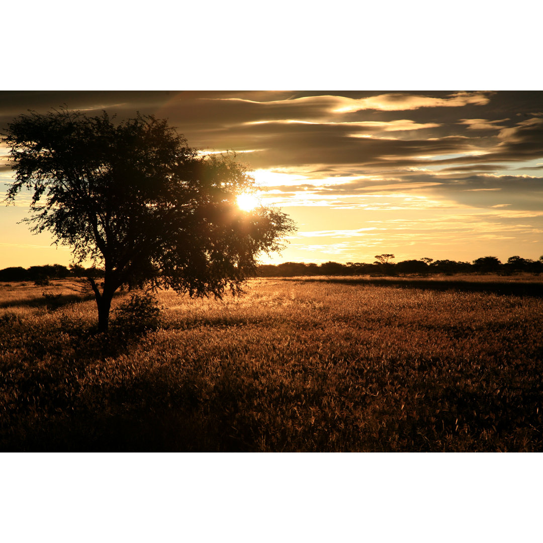 Sonnenuntergang in Botswana von Wayne10810 - Drucken