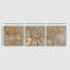 Ensemble de 3 toiles tendues