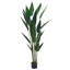 Plant-324669310