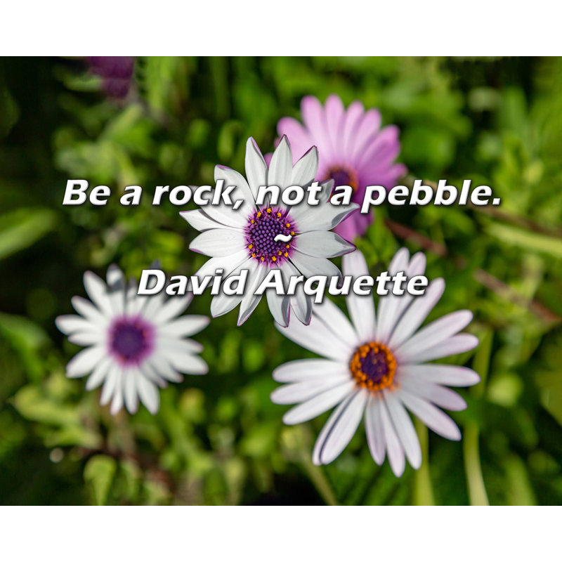 Citation de David Arquette: «Be a rock, not a galet».