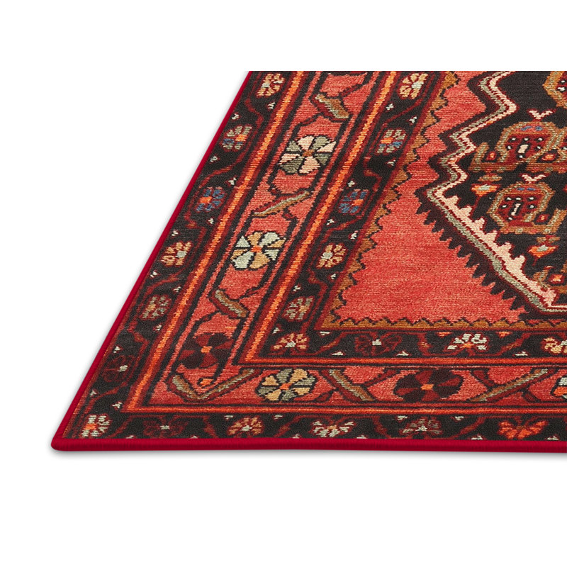 Tapis noir / rouge Kachayr, Rectangle 5 pi x 8 pi