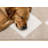 Shivaun Soft Beige Cream Checkered Diamonds Area Rug-308462347
