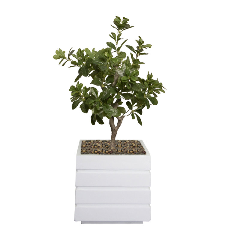 Ficus artificiel en pot 38 po Panama, Blanc
