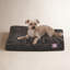Coussin Villa-1436887410-1436887416