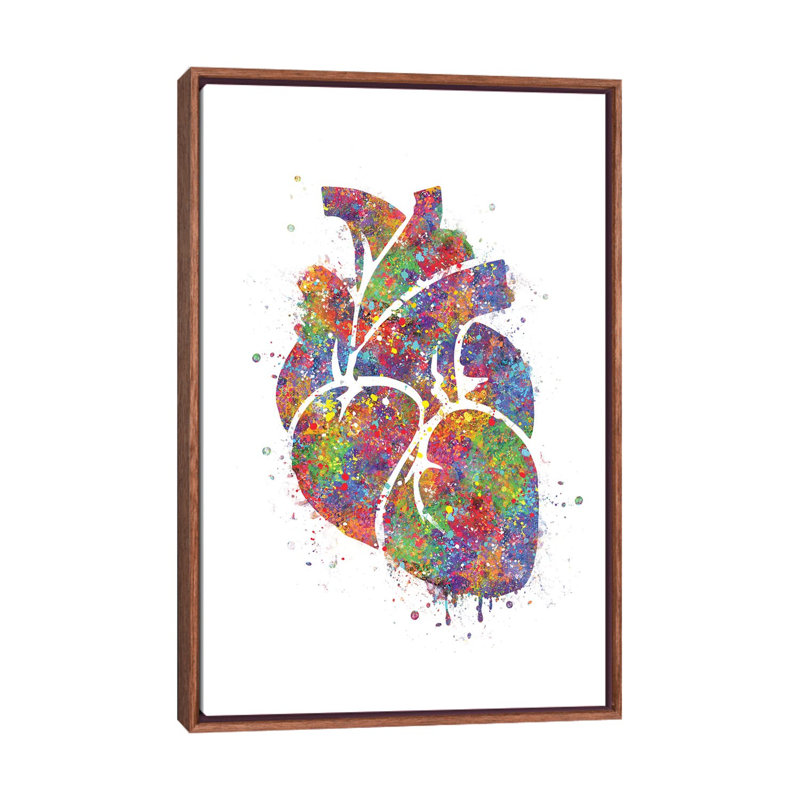 «Heart Anatomy III» - reproduction, Cadre bois classique, H 26 po x l 18 po x 1,5 po