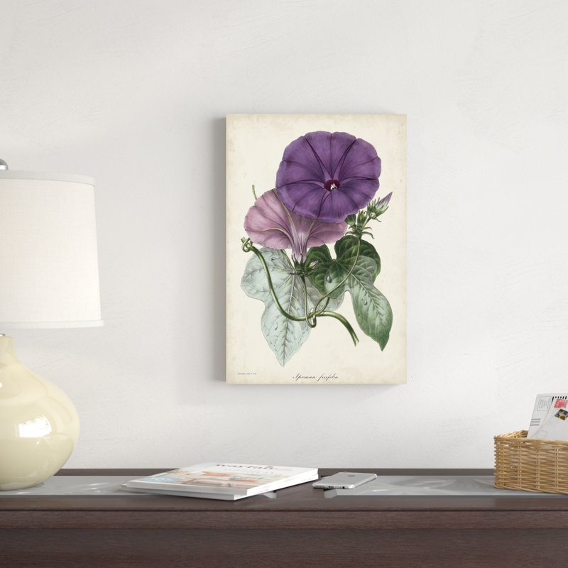 Plum Morning Glory, H 18 po x l 12 po x P 1,25 po