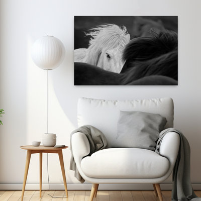 «Curious White Horse Gaze», art mural cheval contemporain