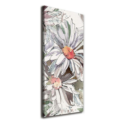 Daisies - Wrapped Canvas Print