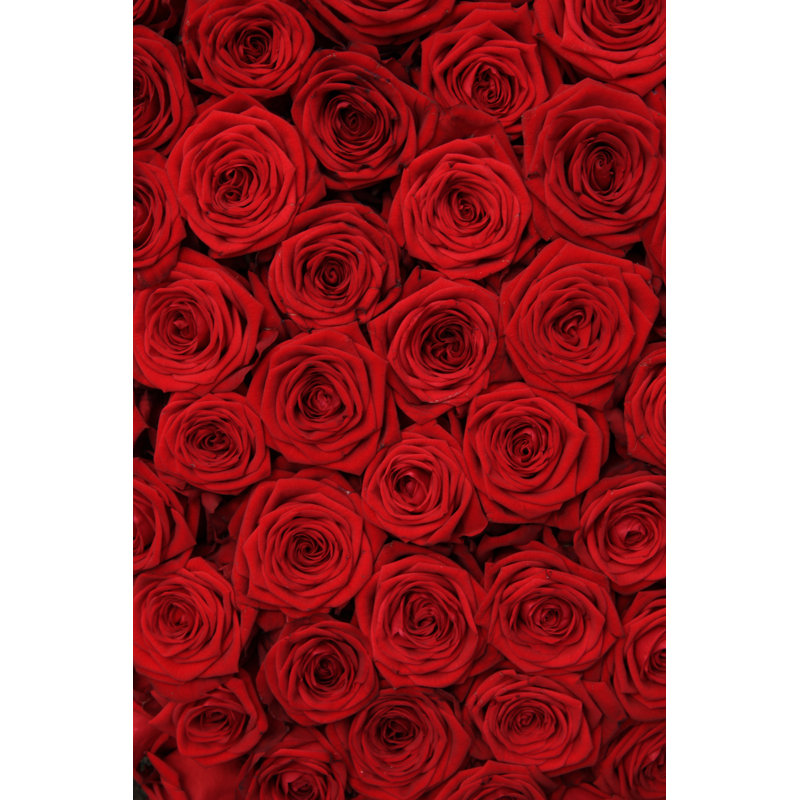 Delleker Red Rose - Wrapped Canvas Print, 46cm H x 30cm W x 3.8cm D