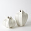 Star Fruit Vase-11372811