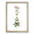 Oak Framed selected