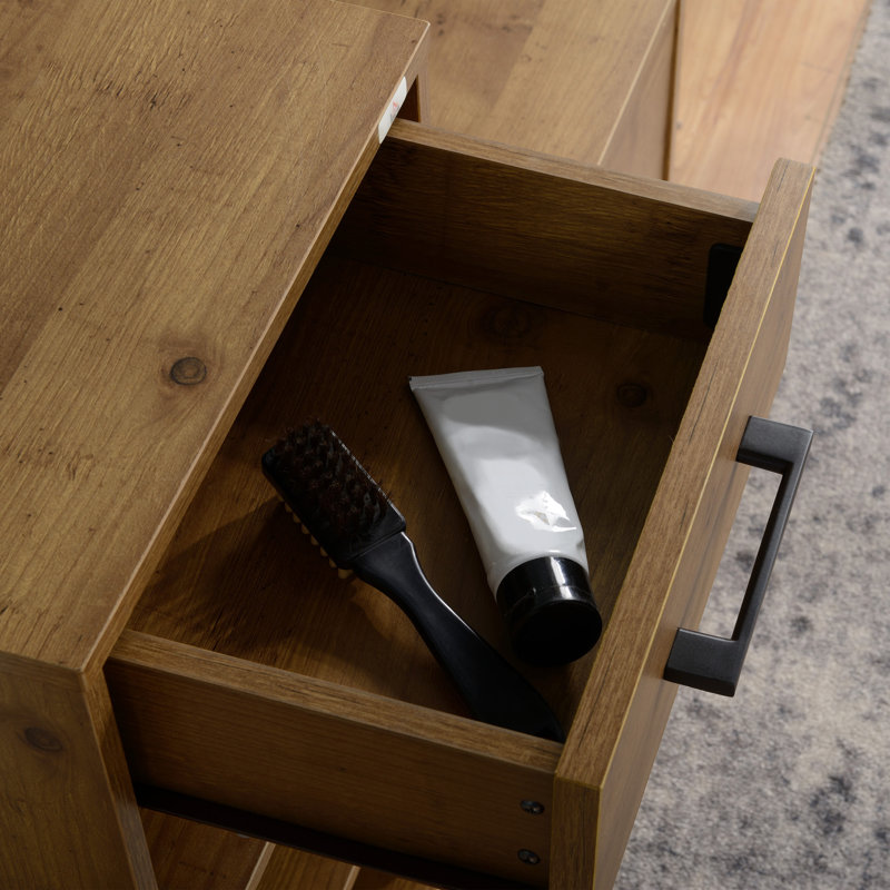 3 Pair Shoe Storage Cabinet
