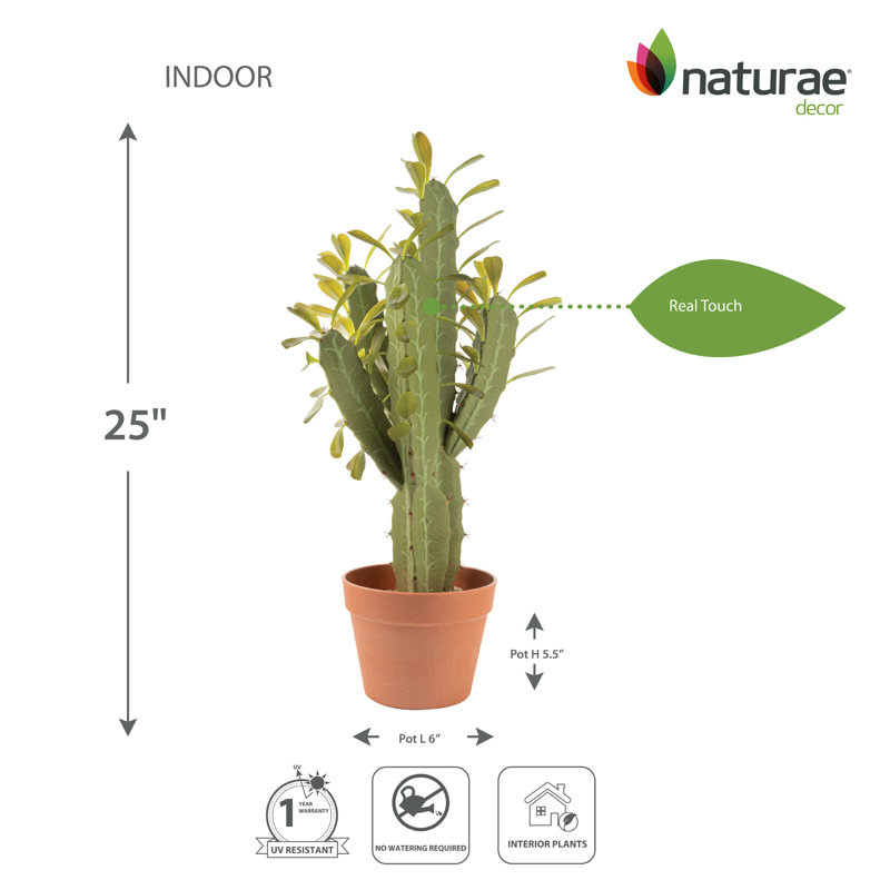 25'' Faux Cactus Plant in Pot
