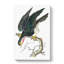 Blue Falcon by George Shaw - Wrapped Canvas-55304527