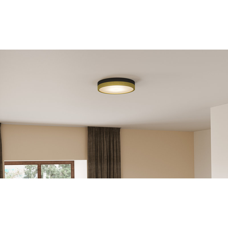 Acrylic LED Flush Mount, Matte Black Gold