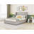 Bucher Upholstered Velvet Wingback Bed with Drawers