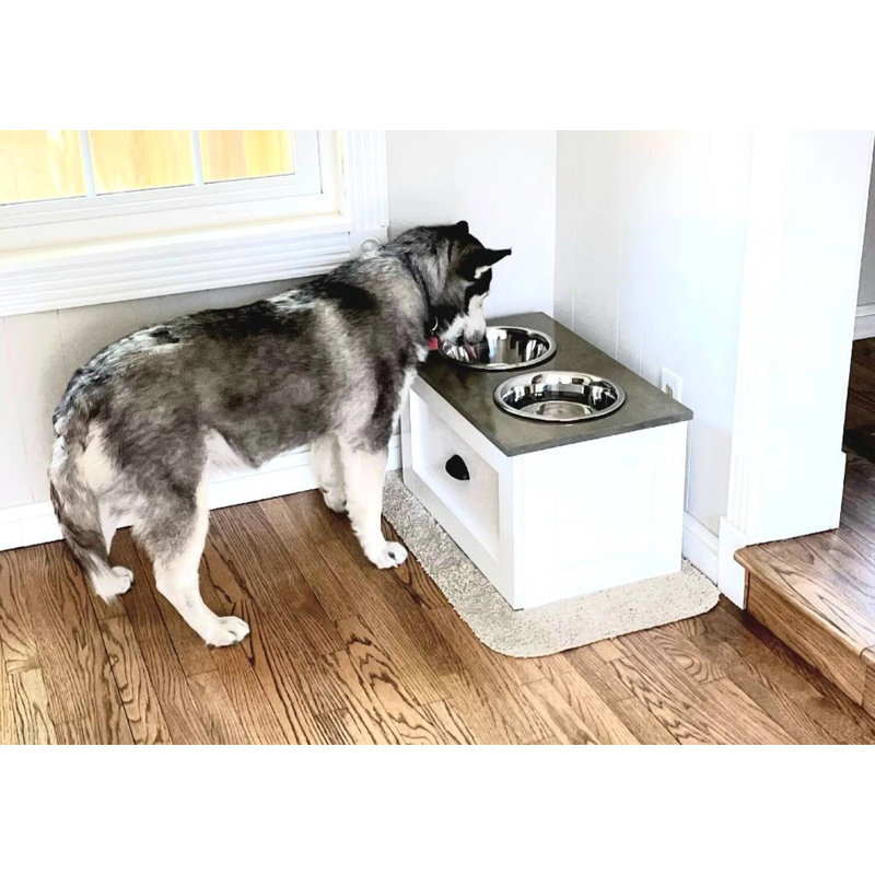Elevated Feeder
