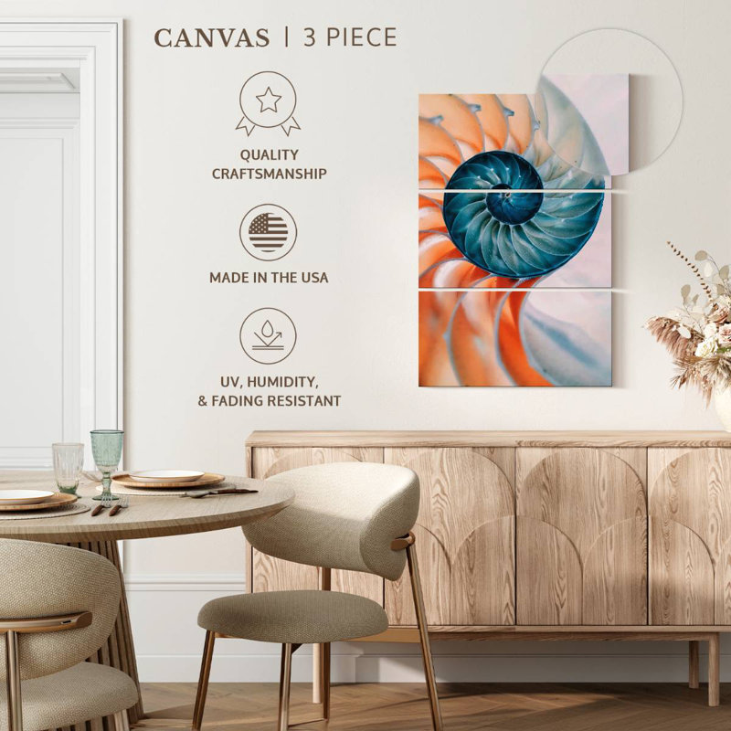 Brampt Translucent Nautilus Shell, 57" H x 36" W