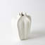 Star Fruit Vase-64402281