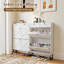 Armoire de rangement pour 12 paires de chaussures avec 2 tiroirs rabattables