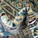 Jackson Geometric Indoor Rug