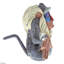 Animals Figurines & Sculptures