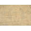 Tapis beige en laine noué à la main 8 pi 10 po x 12 pi 1 po Celadon