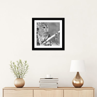 White Owl par PhotoINC Studio - Toile tendue avec châssis