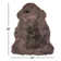 Izola Sheepskin Animal Print Indoor Rug