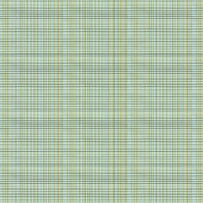Whitney 100% Cotton Fabric