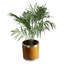 Pot à fleurs en bois-36996082-36996081