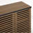 Shaurya 31'' Tall Accent Cabinet-2006022519