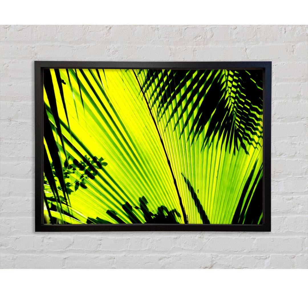 Lime Palm Tree - Einzelner Bilderrahmen Kunstdrucke auf Leinwand