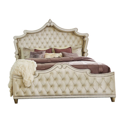 Antonella Upholstered Tufted Bed Ivory and Camel -  Rosdorf Park, 52D747B975EF49C2B54323FF3D57DDC5