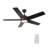  52'' Smart Ceiling Fan with Integrated LED light, Remote Control-362623927