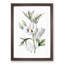 White Hibiscus Flowers - Framed Print-55641061-55641065