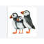 « puffins », reproduction sur toile-29773167-74424896-74424891