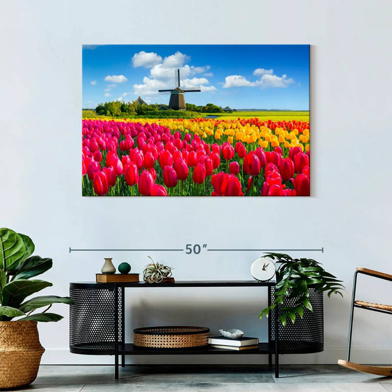 Champ de tulipes Alvord Holland, H 30 po x l 45 po