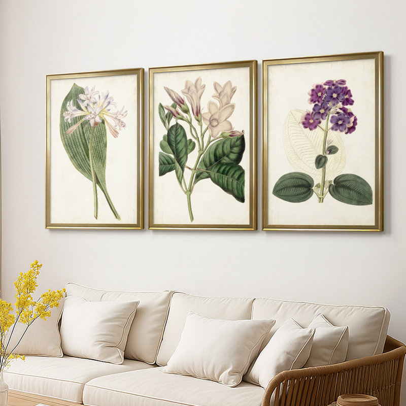 Antique Botanical Collection IV - Toile tendue avec châssis sur mesure - 3 pièces, H 21 po x l 30 po, Doré