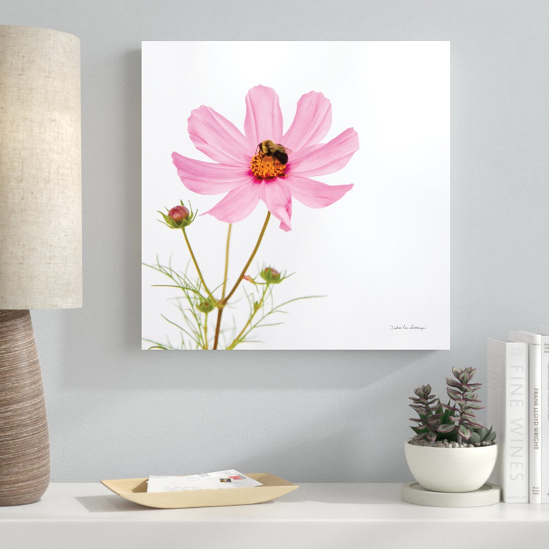 «Pale Cosmos II» par Van Swearingen, Debra - reproduction, H 20 po x l 20 po