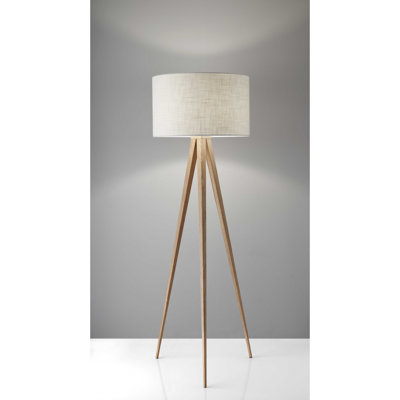 Holguin 60.25'' Tripod Floor Lamp