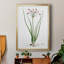 Toile encadrée de qualité supérieure Rose Botanical II - prête à être accrochée-340619365-340619364
