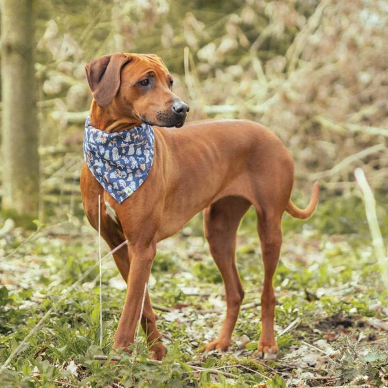 Wrendale Designs Dog Bandana - M/L