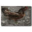 Poule rouge sur toile tendue-1327682711
