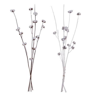 Cotton Arrangement