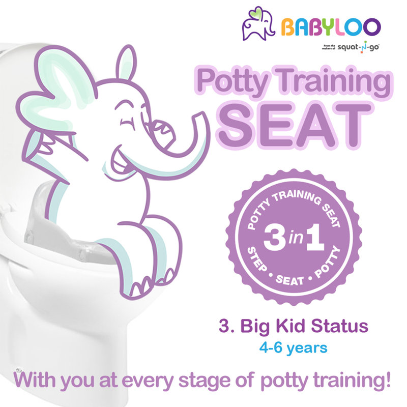 Toilet Safety Frame